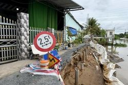 Dọc những d&ograve;ng s&ocirc;ng đang 'ăn đất' ở Đồng bằng s&ocirc;ng Cửu Long (Kỳ 1)