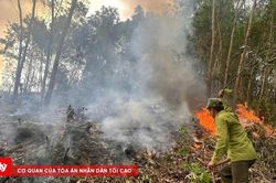 Khống chế vụ cháy thực bì rộng khoảng 4 ha tại xã Phú Lộc