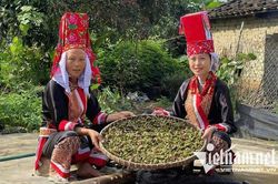Không còn chờ hỗ trợ, người Dao tự mở đường thoát nghèo