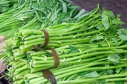 Rau muống giàu dinh dưỡng nhưng có 2 lưu ý khi ăn