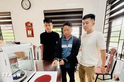 Lào Cai: Triệt phá đường dây ma túy liên tỉnh, thu giữ 11.600 viên ma túy