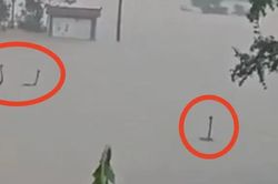 Người dân bắt gặp cảnh tượng nổi da gà trong dòng nước lũ