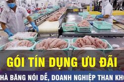 18 GIỜ NGÀY 11-7: Vì sao doanh nghiệp khó tiếp cận gói tín dụng ưu đãi?