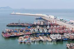Bão BAVI áp sát, Trung Quốc phát cảnh báo mưa bão ở mức cao nhất