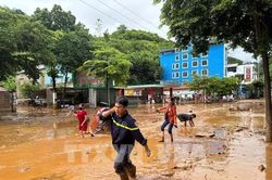 Khôi phục cấp điện trở lại cho hàng nghìn khách hàng bị ảnh hưởng do mưa lũ tại Sơn La