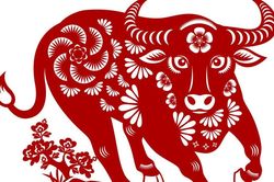 4 con giáp ít nói nhưng rất đáng tin, lời nói luôn có sức nặng