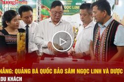 Đà Nẵng: Quảng bá quốc bảo sâm Ngọc Linh và dược liệu đến du khách