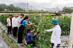 Thay đổi 'nếp nghĩ, cách làm' xóa bỏ định kiến giới