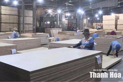 Doanh nghiệp chủ động ứng phó với phòng vệ thương mại