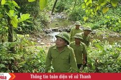 Để những cánh rừng mãi xanh