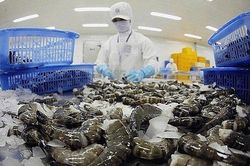 Triển vọng tăng trưởng VHC và FMC trong chu kỳ phục hồi của ngành thủy sản