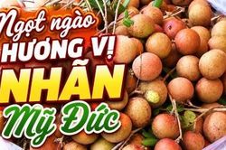 Ngọt ngào hương vị nhãn Mỹ Đức