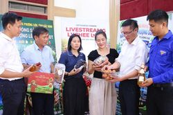 Quy hoạch chung đô thị Bắc Ninh: Đánh thức tiềm năng vùng cây ăn quả trọng điểm