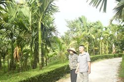 Kinh tế nông nghiệp từ sản xuất xanh