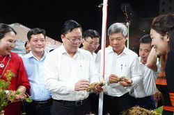 Đà Nẵng mở không gian quảng bá sâm Ngọc Linh định kỳ hằng tháng