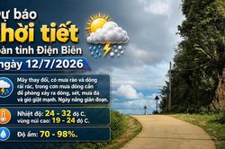 Bản tin Dự báo thời tiết ngày 12/7/2026
