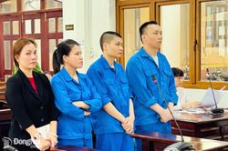 Lãnh án vì tổ chức cho người khác ở lại Việt Nam trái phép