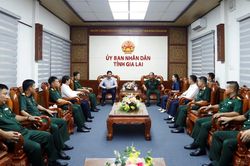 Phó Chủ tịch UBND tỉnh Lâm Hải Giang tiếp đoàn cán bộ Sư đoàn 3