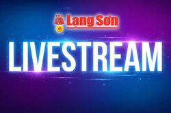 LIVESTREAM: Không khí trước giờ khai trương Không gian văn hóa đường Hùng Vương