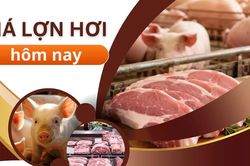 Giá lợn hơi ngày 11/7: Cả nước tiếp tục đi ngang, thị trường trầm lắng
