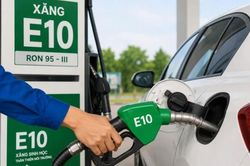 Giá xăng dầu ngày 11/7: Dầu thế giới hạ nhiệt, RON95 sát mốc 20.000 đồng/lít