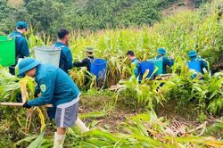 Xã Bản Liền: Gần 70 cán bộ, dân quân tự vệ hỗ trợ người dân khắc phục hậu quả thiên tai
