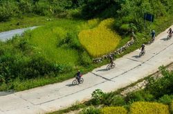 Giải đua xe đạp địa hình 'Vút bay trên sóng lúa vàng' sắp khởi tranh tại Mường Bo