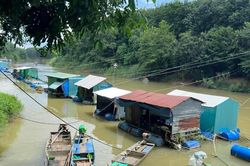 'Sâm nước' sông La Ngà