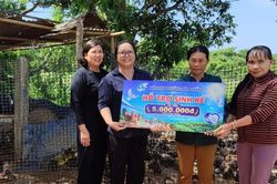 Nối dài hỗ trợ sinh kế sau lũ