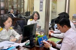 Thuế tỉnh Tuyên Quang thu nội địa 6 tháng đạt hơn 58% dự toán
