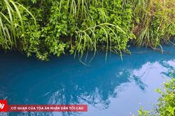 Sơn La: Nước suối xuất hiện màu xanh bất thường khiến người dân bất an