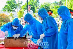 Hành trình xác định danh tính liệt sĩ