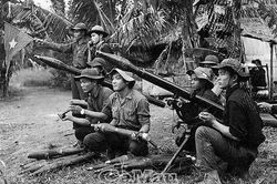 Hào hùng chiến thắng Đòn Dong - Tân Quảng