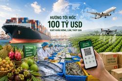 Xuất khẩu n&ocirc;ng, l&acirc;m, thủy sản: Cần một cuộc bứt ph&aacute; to&agrave;n diện