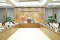 Đề xuất cắt giảm mạnh danh mục ng&agrave;nh, nghề kinh doanh c&oacute; điều kiện
