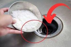 Đổ muối xuống đường ống thoát nước: Chúng có 3 công dụng tuyệt vời ai cũng thích