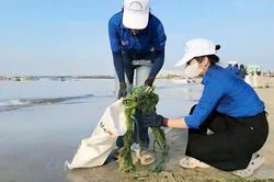 Gia Lai tăng cường bảo vệ môi trường, xử lý nghiêm các hành vi, vi phạm về môi trường