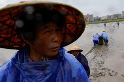 Trung Quốc sơ tán hơn 1,8 triệu người vì siêu bão Bavi