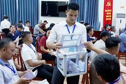 Xã Ứng Hòa đấu giá thành công 34 thửa đất, thu hơn 118,8 tỷ đồng
