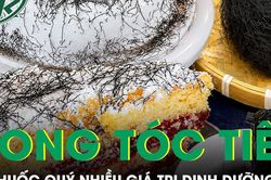 Vị thuốc quý nhìn như tóc rối nhiều người e ngại nhưng lại nhiều giá trị dinh dưỡng