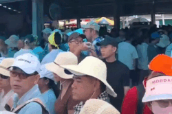 Cảnh chật kín người đổ ra Hòn Mun, Nha Trang