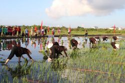 Lễ hội Xuống đồng ở Quảng Ninh: Gìn giữ di sản, gửi gắm ước vọng quốc thái dân an