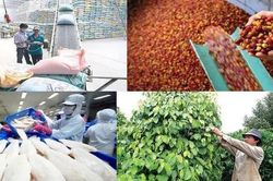 Xuất khẩu nông lâm thủy sản từ 70 đến 100 tỷ USD: Cần những bước đột phá mới