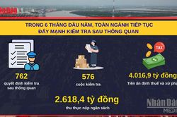 [Video] Kiểm tra sau thông quan, Hải quan thu hơn 2.600 tỷ đồng