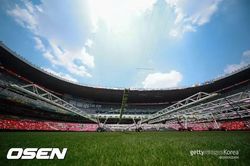 Mảnh đất cỏ tự nhiên của sân từ trận chung kết 'World Cup 2026' được bán với giá 450 đô la Mỹ