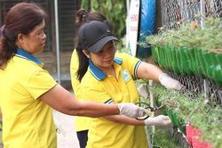 Những mô hình xanh chở nặng ân tình