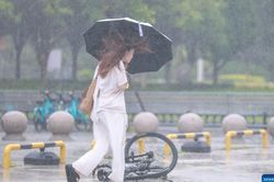 B&atilde;o Bavi đổ bộ v&agrave;o Trung Quốc