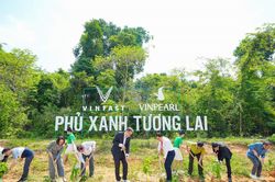 Tài sản mới thời kinh tế xanh