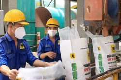 Xuất khẩu phân bón nửa năm đạt gần 1 tỷ USD, cơ hội lập kỷ lục mới