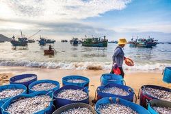 Người giữ 'giọt nồng' làng biển